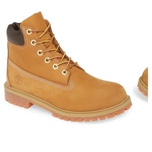 Timberland Big Kids 6-Inch Premium Waterproof Boots